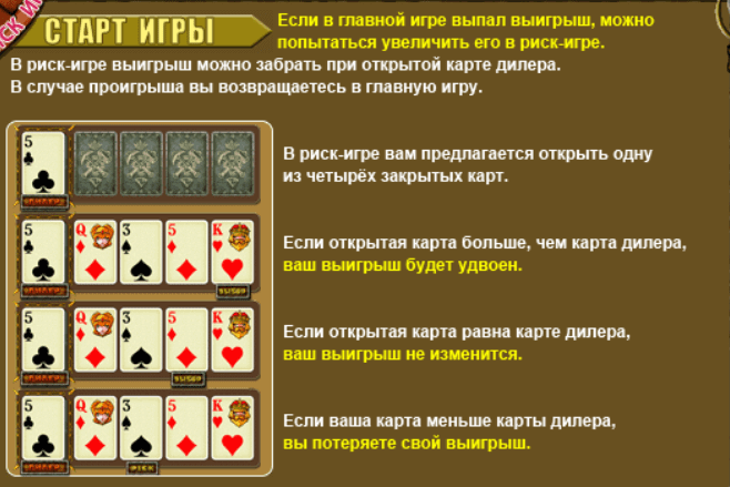 Рисковый раунд в Гноме Риск раунд в Гноме